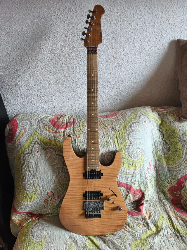Harley Benton Fusion II HH FR FNT de segunda mano · Foto 1 de 5 · Alicante · 225 €