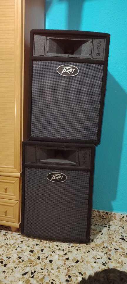 Peavey PRO-15 y Sub PRO-15