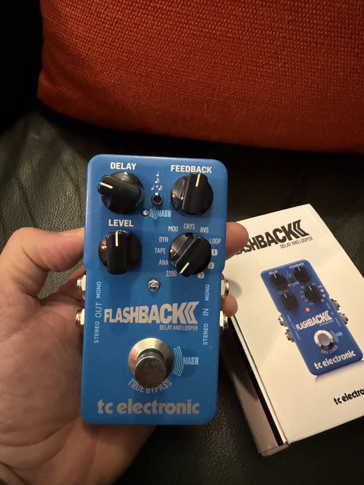 Varios pedales…EHX Mistress, Flashback Delay y 1981 Inventions LVL