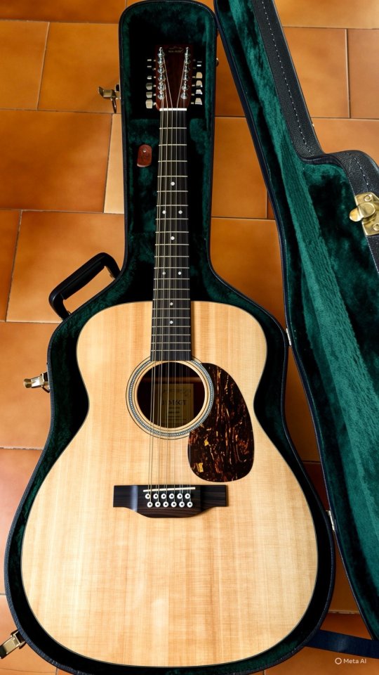 Martin 12 Cuerdas Jumbo USA 2001 de segunda mano · Foto 1 de 9 · Madrid · 2150 €