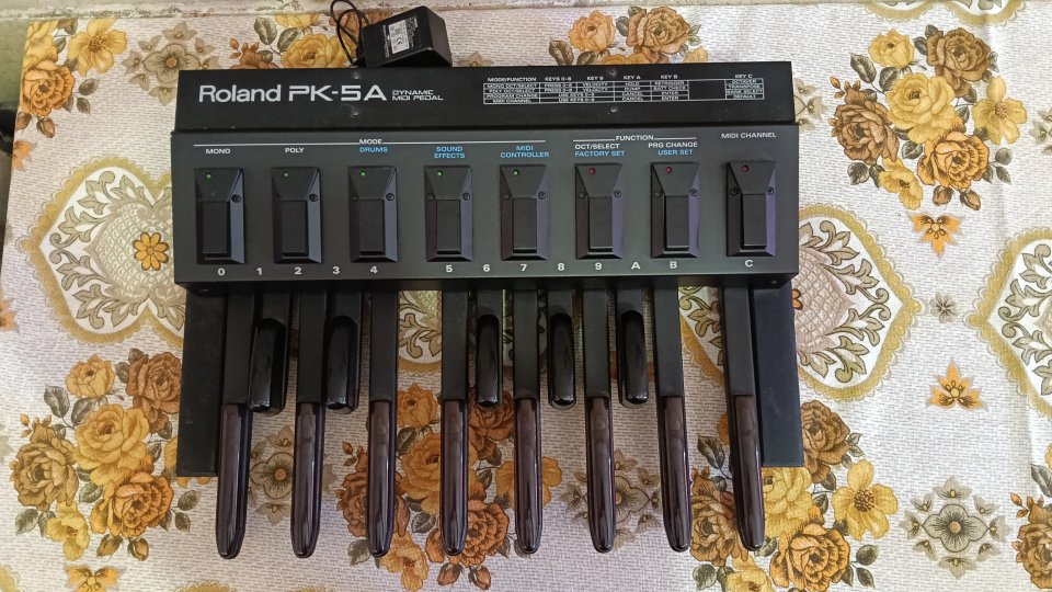 Roland PK-5A midi pedal de segunda mano · Foto 1 de 4 · A Coruña · 450 €