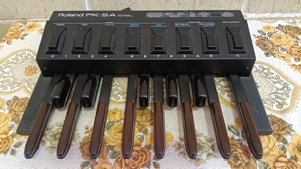 Roland PK-5A midi pedal de segunda mano · Foto 2 de 4 · A Coruña · 450 €