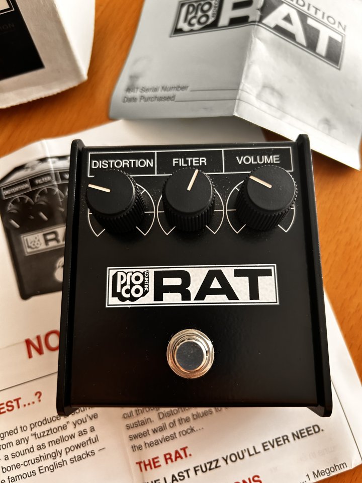 Proco Rat Whiteface reissue