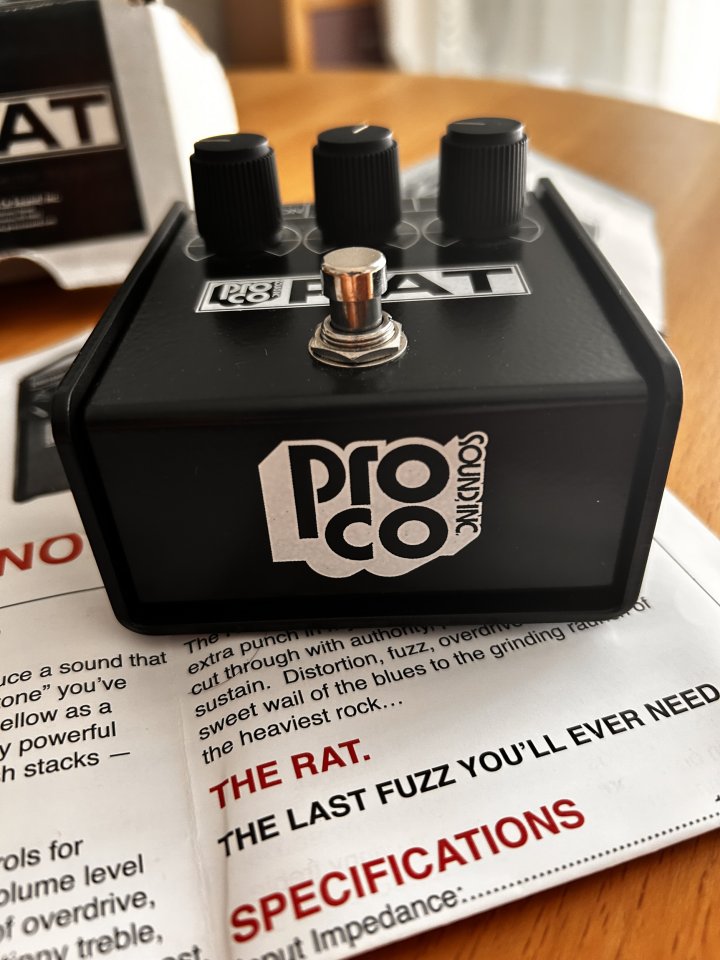Proco Rat Whiteface reissue