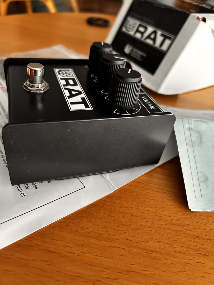 Proco Rat Whiteface reissue