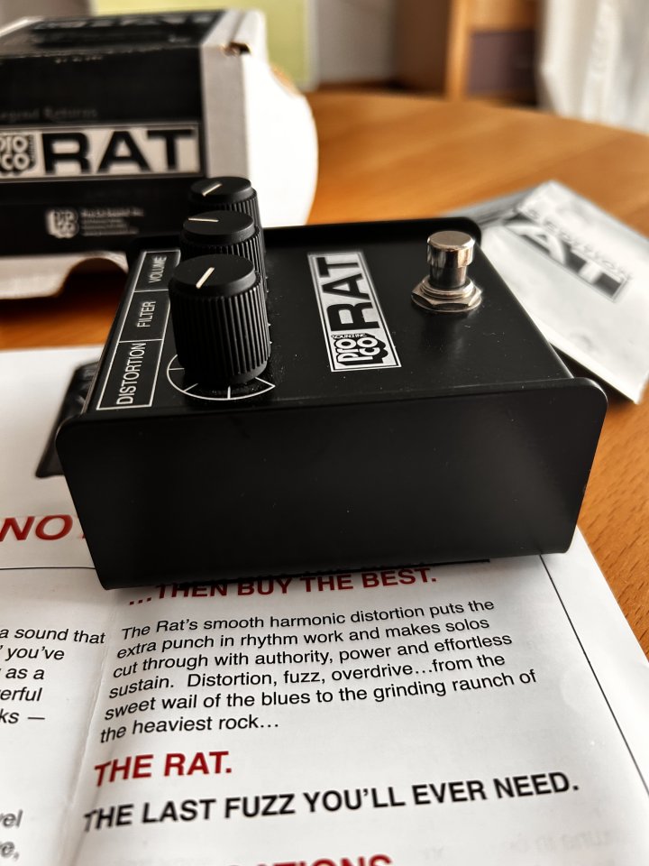 Proco Rat Whiteface reissue