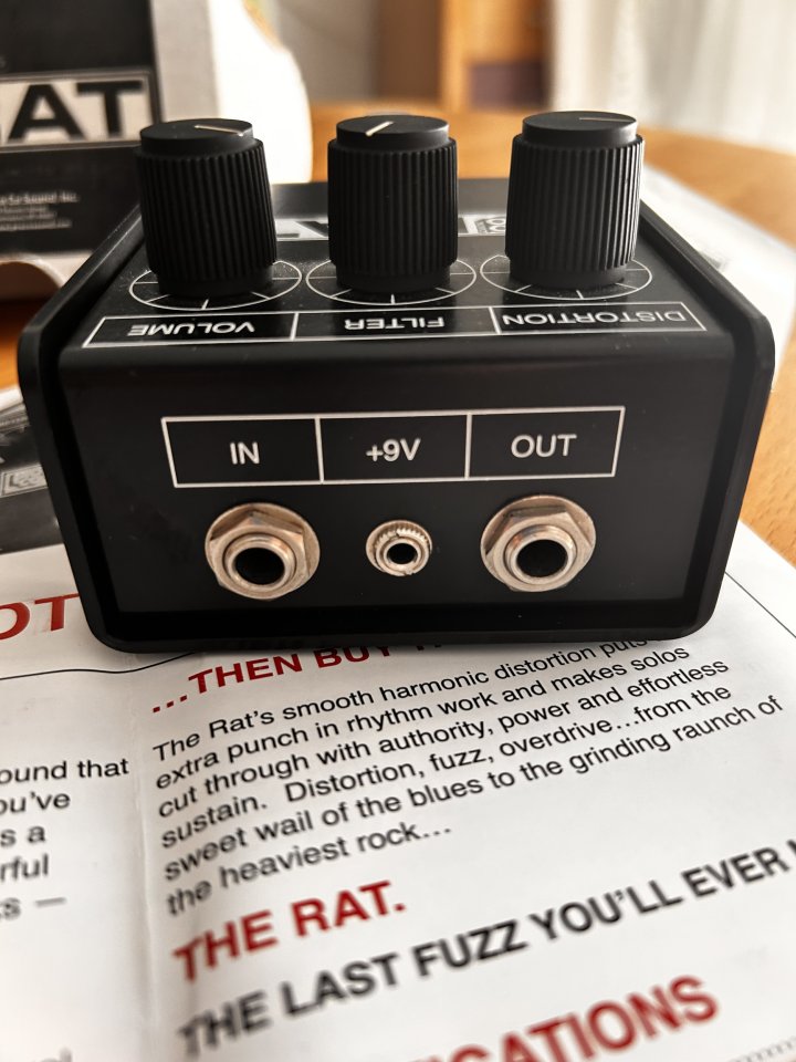 Proco Rat Whiteface reissue