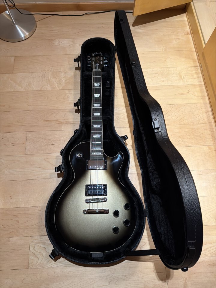 Gibson Les Paul Standard Adam Jones