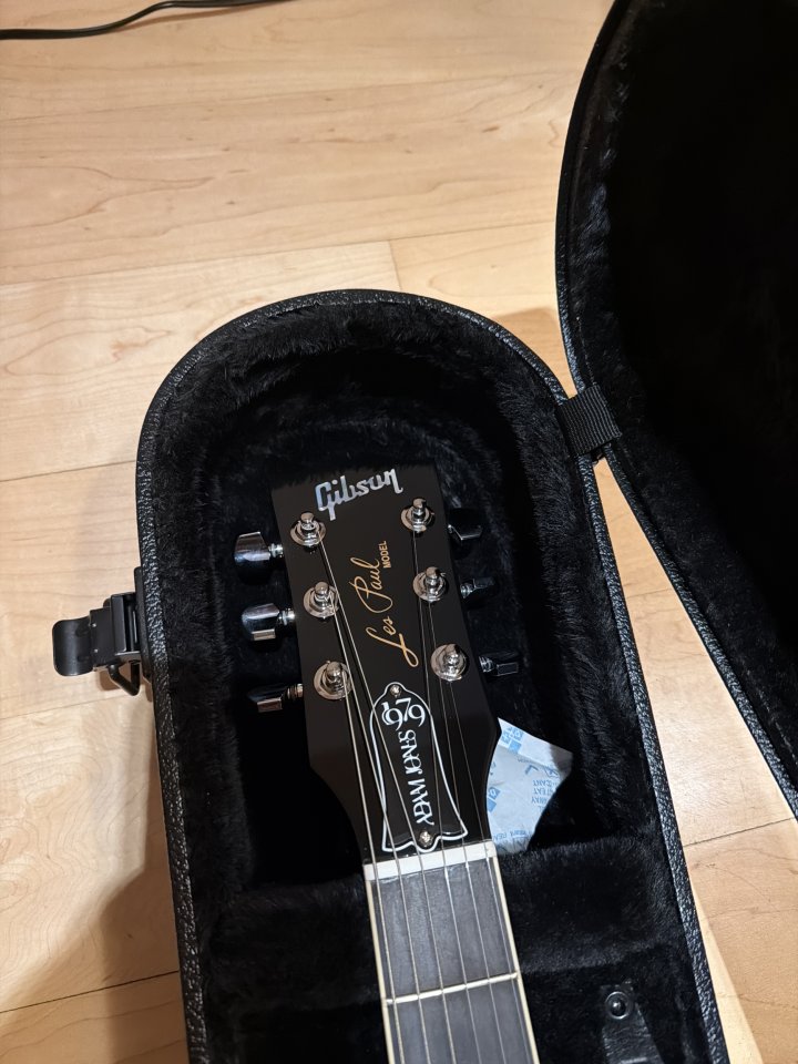 Gibson Les Paul Standard Adam Jones