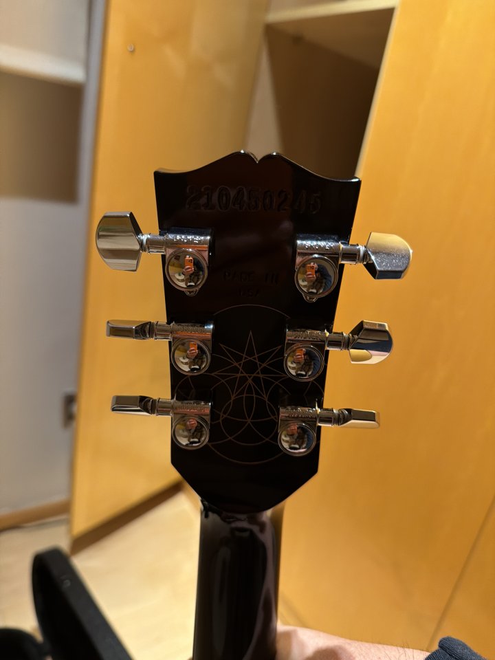 Gibson Les Paul Standard Adam Jones