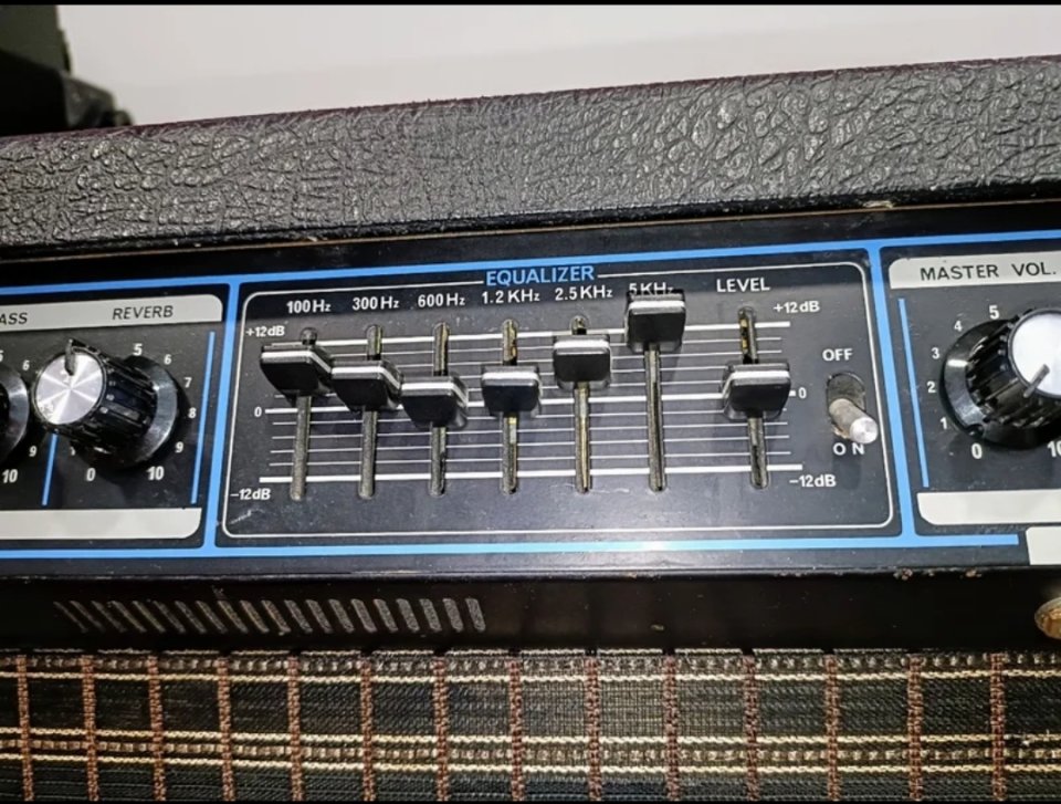 Roland GA-60 R&P, vintage año 1978