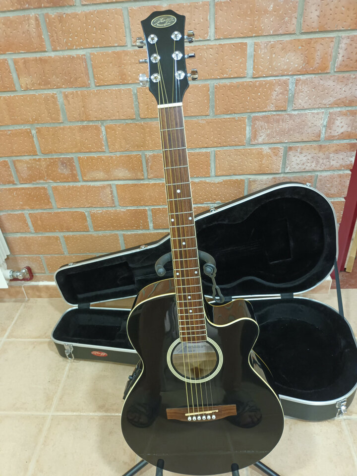 Electroacústica Stagg con estuche duro.