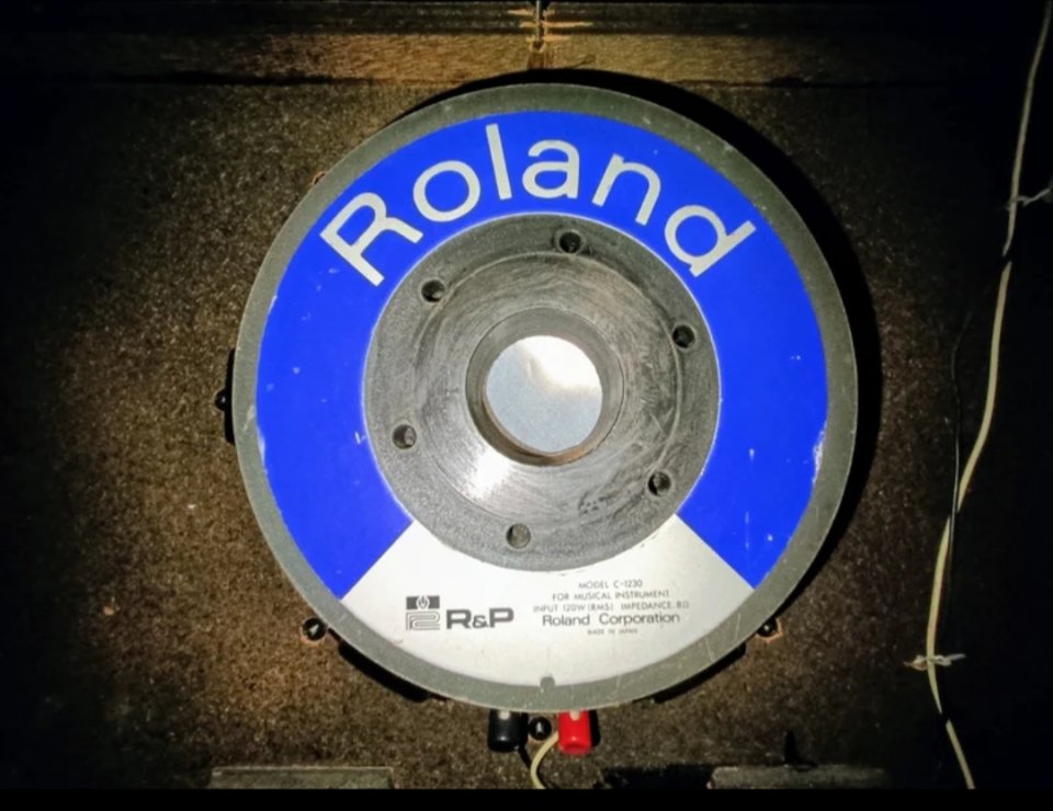 Roland GA-60 R&P, vintage año 1978