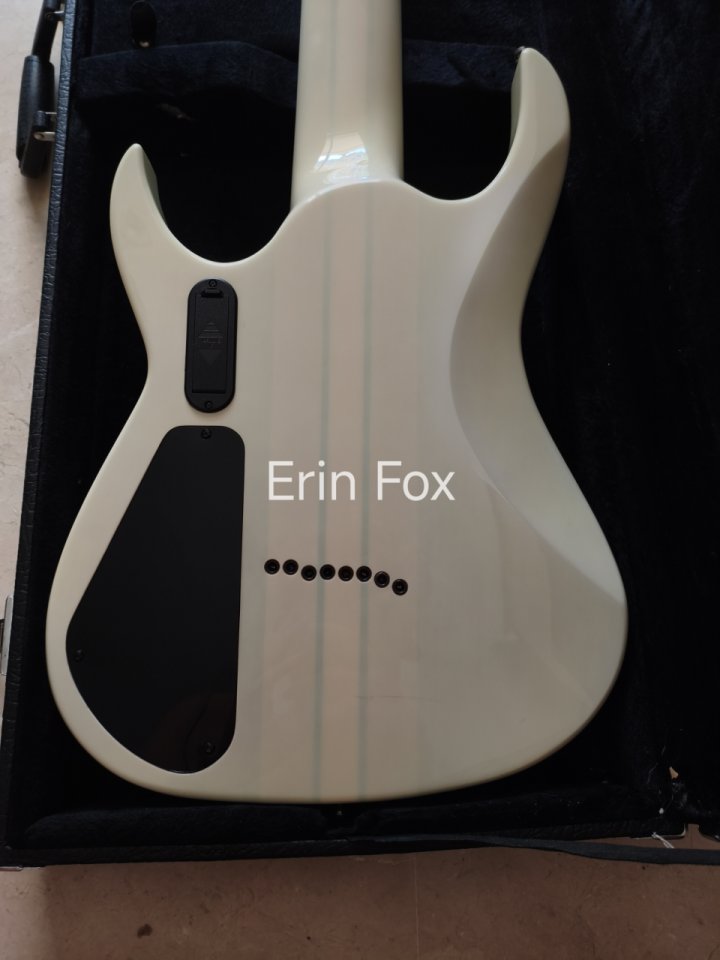 Guitarra 8 cuerdas Agile