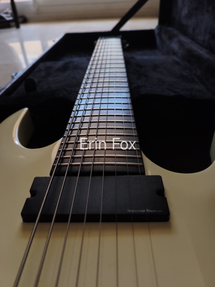 Guitarra 8 cuerdas Agile