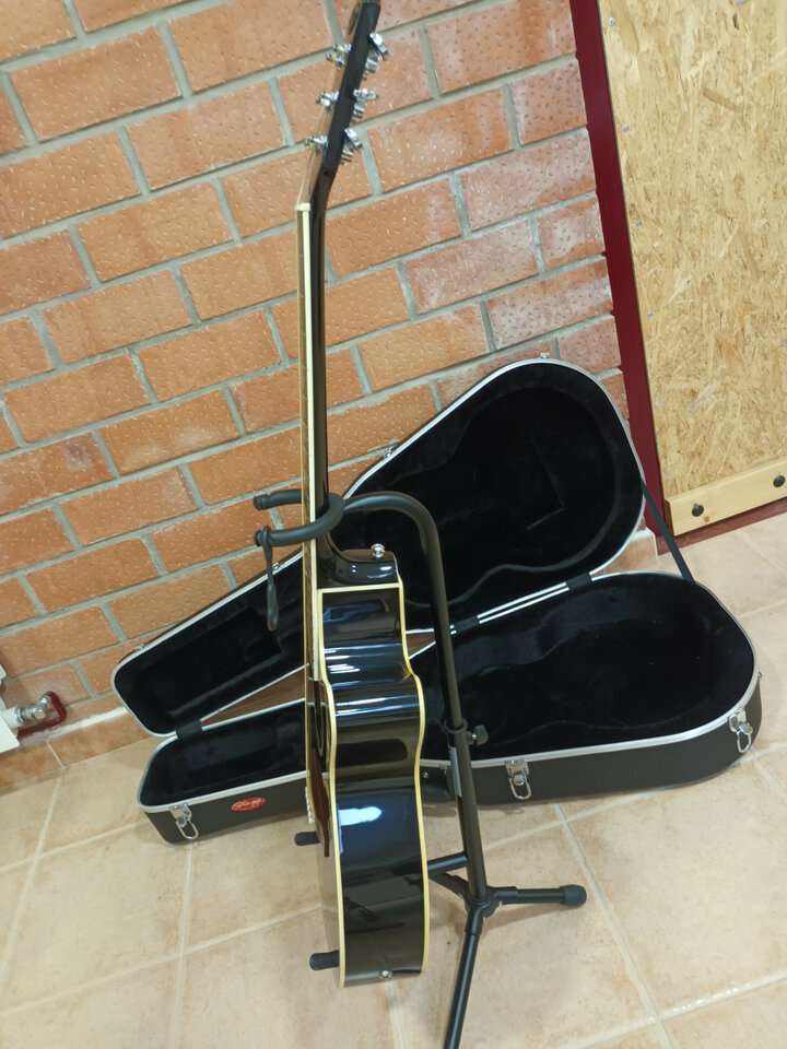 Electroacústica Stagg con estuche duro.