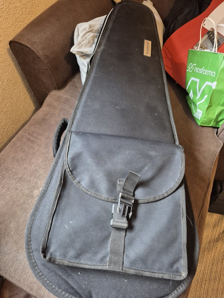 Rickenbacker 350 del 92