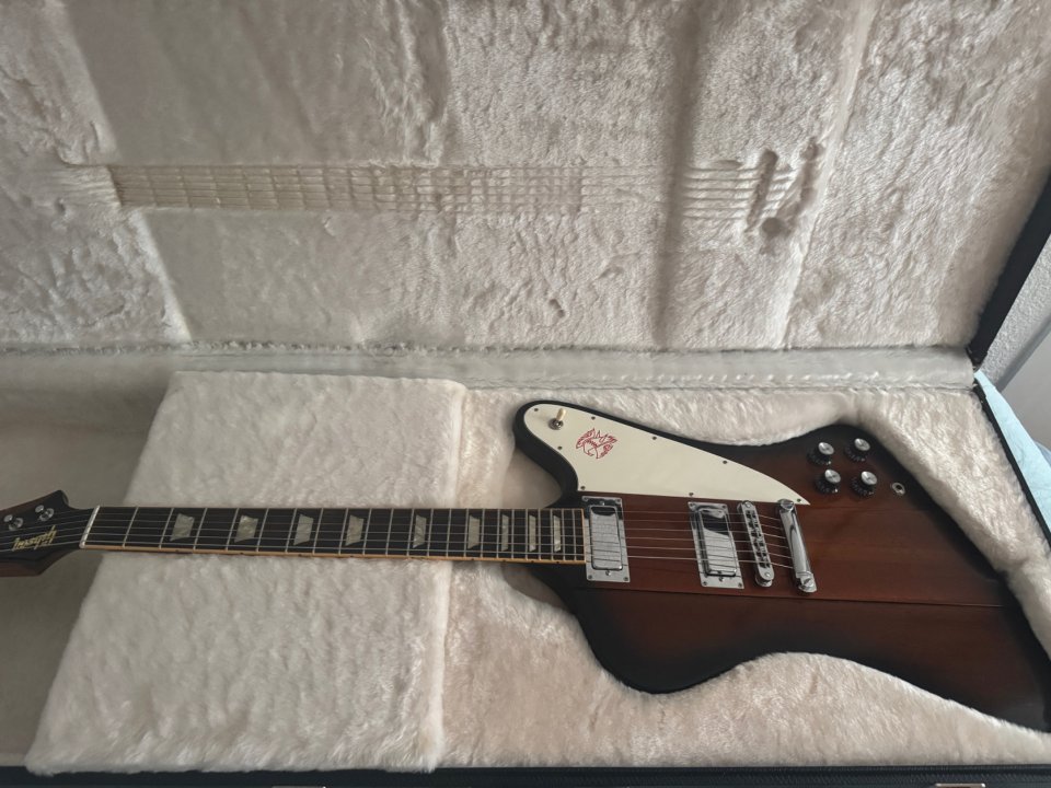 Gubson Firebird V 2009 de segunda mano · Foto 1 de 10 · Madrid · 2600 €