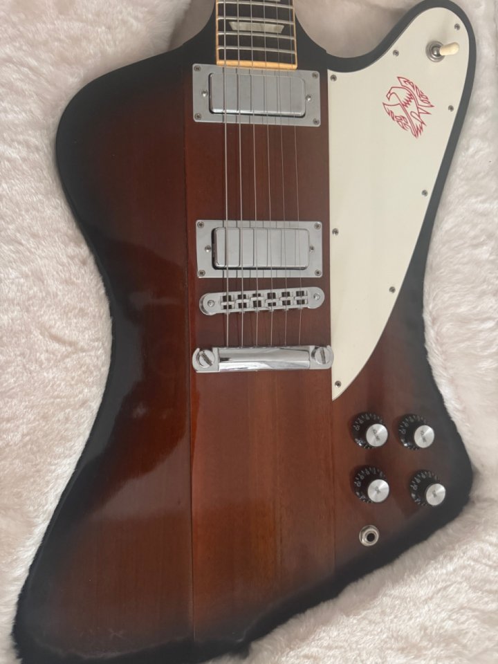 Gubson Firebird V 2009 de segunda mano · Foto 3 de 10 · Madrid · 2600 €