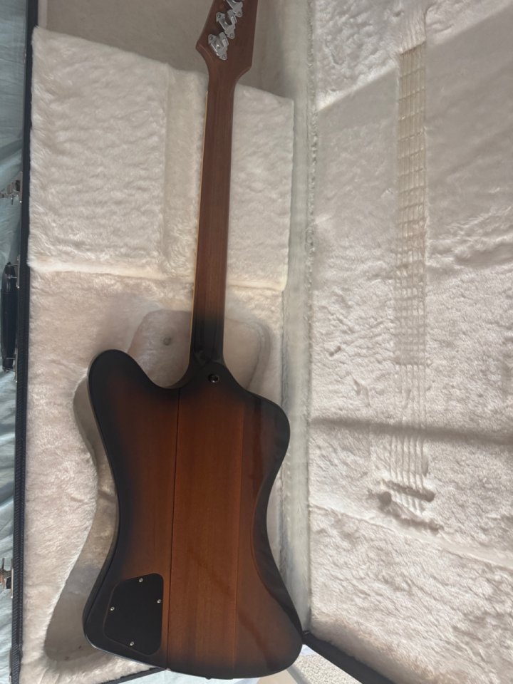 Gubson Firebird V 2009 de segunda mano · Foto 6 de 10 · Madrid · 2600 €