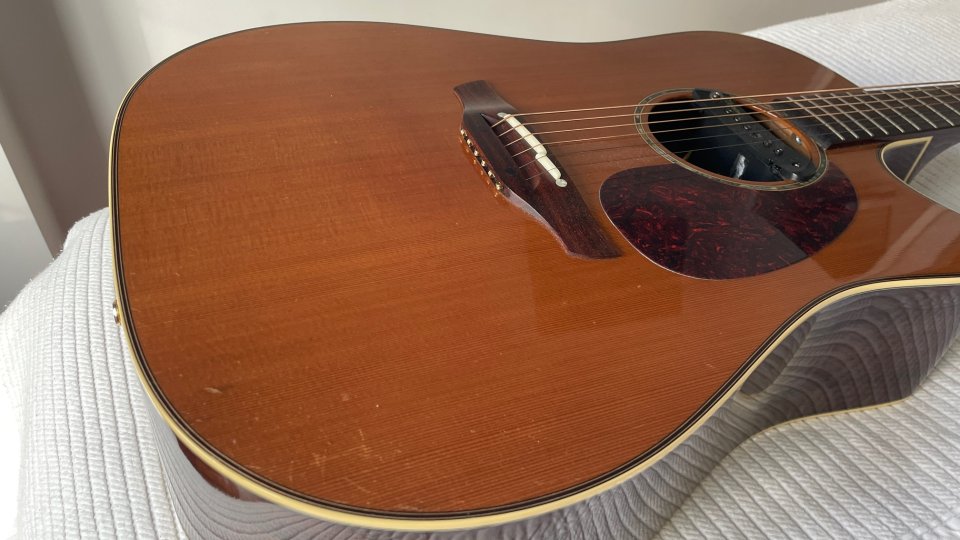 Vendo o cambio Takamine TAN15C