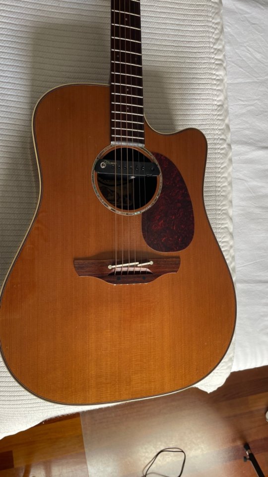 Vendo o cambio Takamine TAN15C