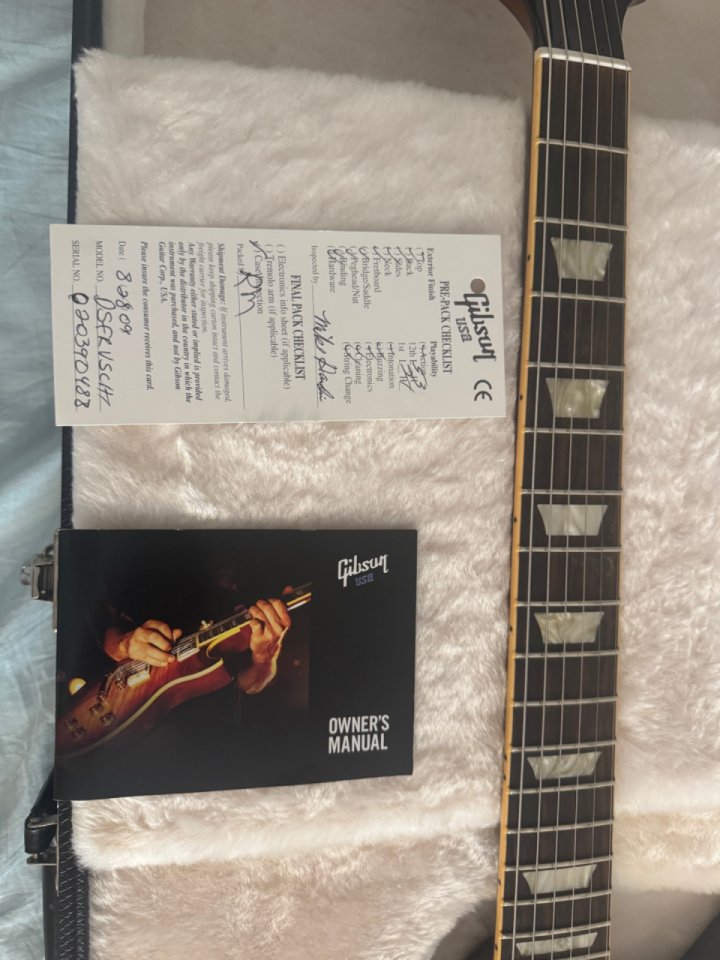 Gubson Firebird V 2009 de segunda mano · Foto 10 de 10 · Madrid · 2600 €