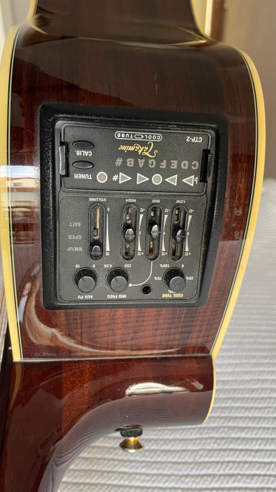 Vendo o cambio Takamine TAN15C