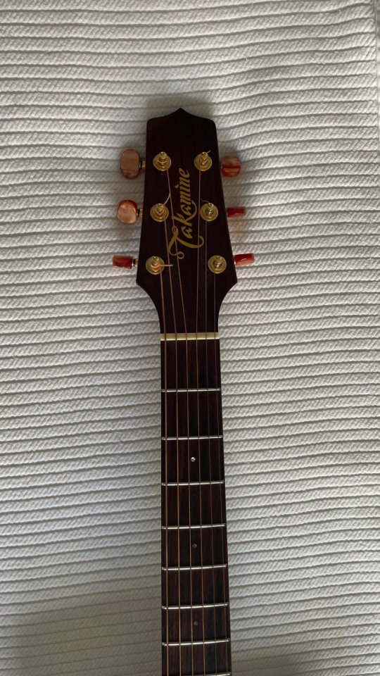 Vendo o cambio Takamine TAN15C