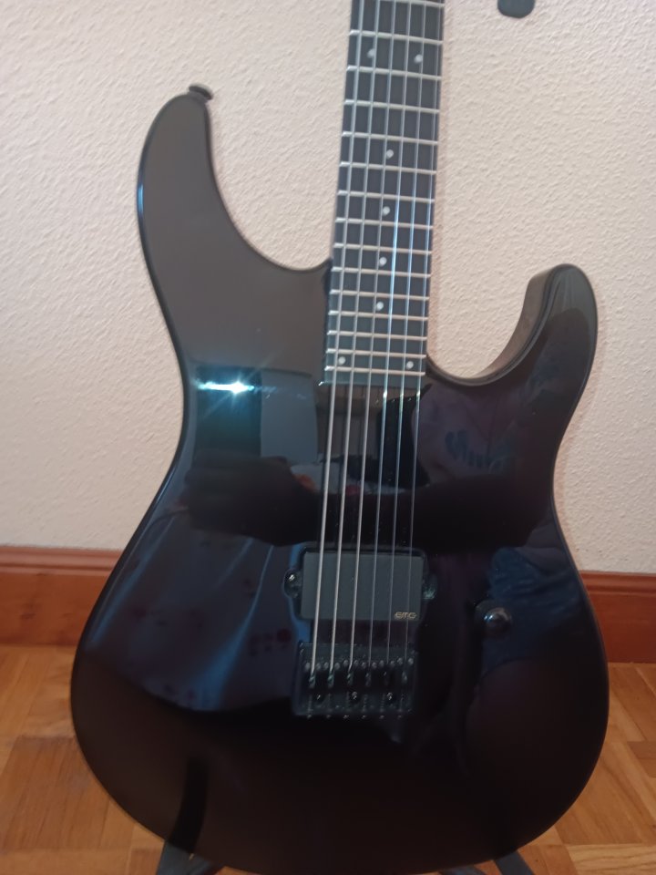 LTD SN-201HT Black de segunda mano · Foto 5 de 6 · Navarra · 380 €