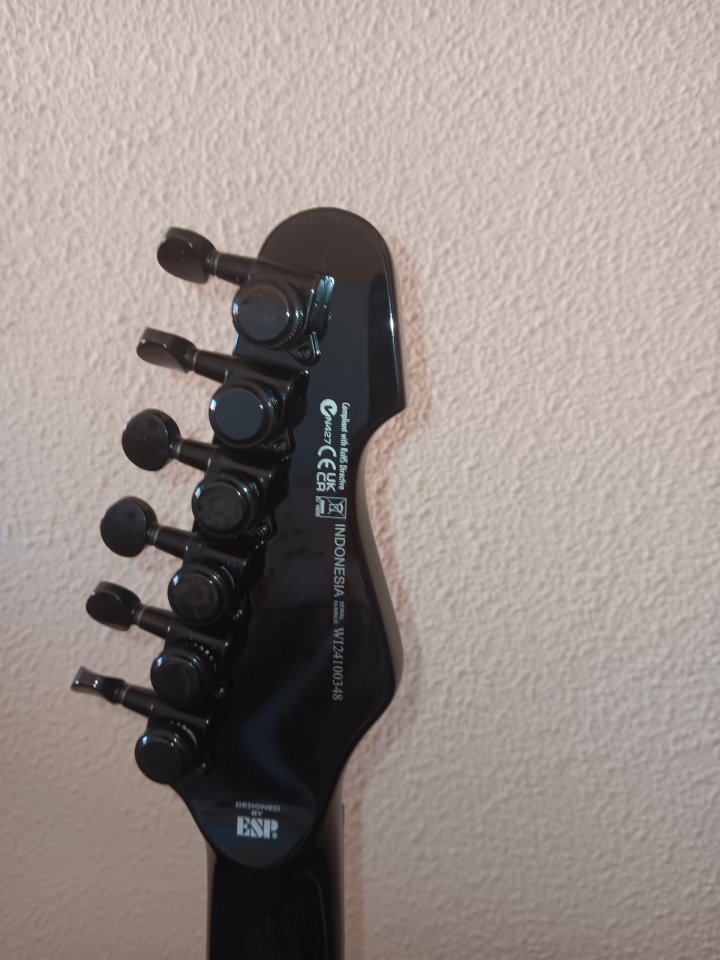 LTD SN-201HT Black de segunda mano · Foto 6 de 6 · Navarra · 380 €