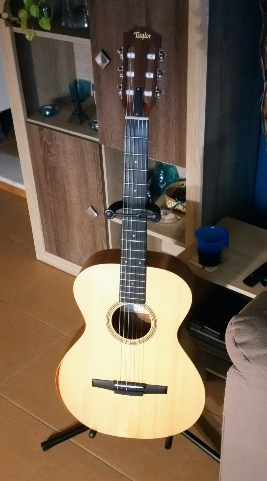 Taylor Academy 12e-N