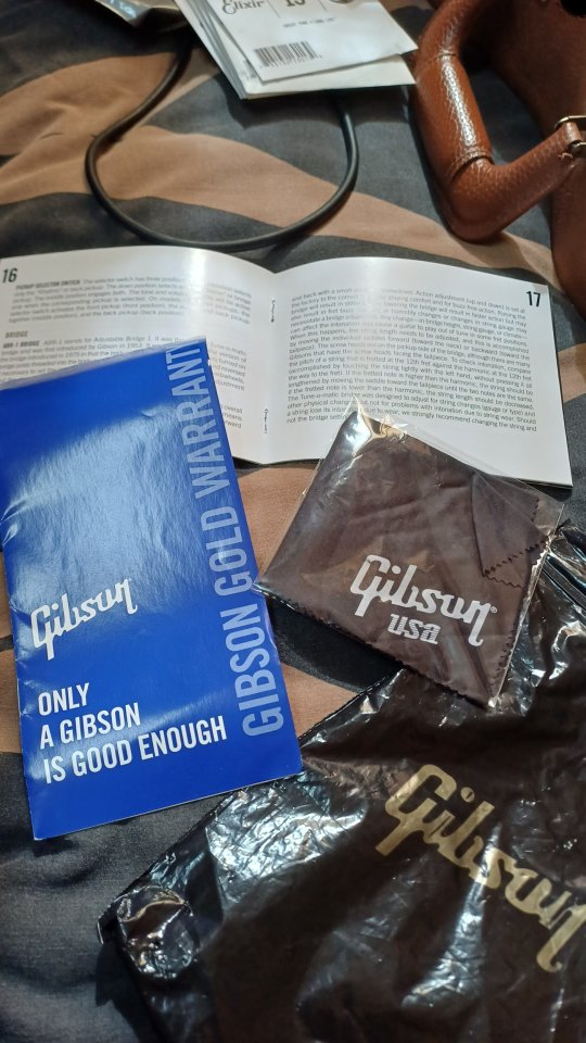 Gibson Les Paul Standard