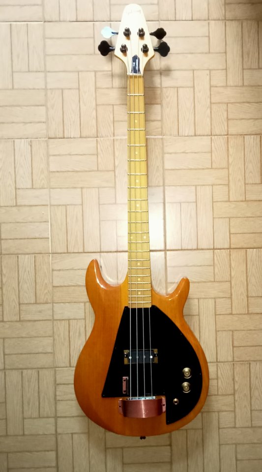 Chibson the grabber. de segunda mano · Foto 1 de 6 · Madrid · 250 €