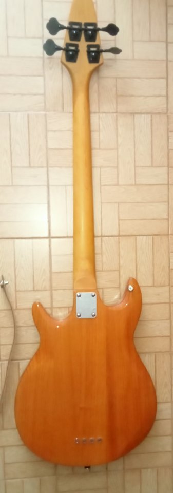 Chibson the grabber. de segunda mano · Foto 2 de 6 · Madrid · 250 €