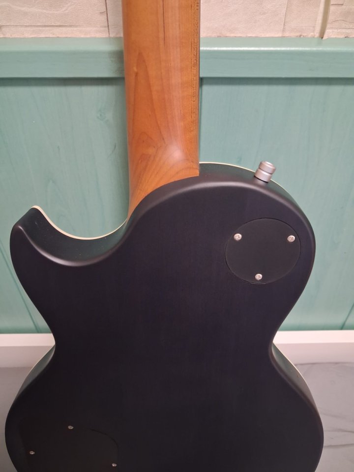 Harley Benton Agufish Custom Signature Baritone PB