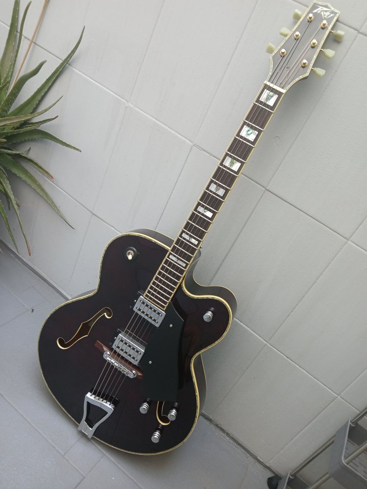 SOLO HOY! Peavey Rockingham Purple + pickguard replica Gretsch de segunda mano · Foto 1 de 8 · Jaén · 499 €