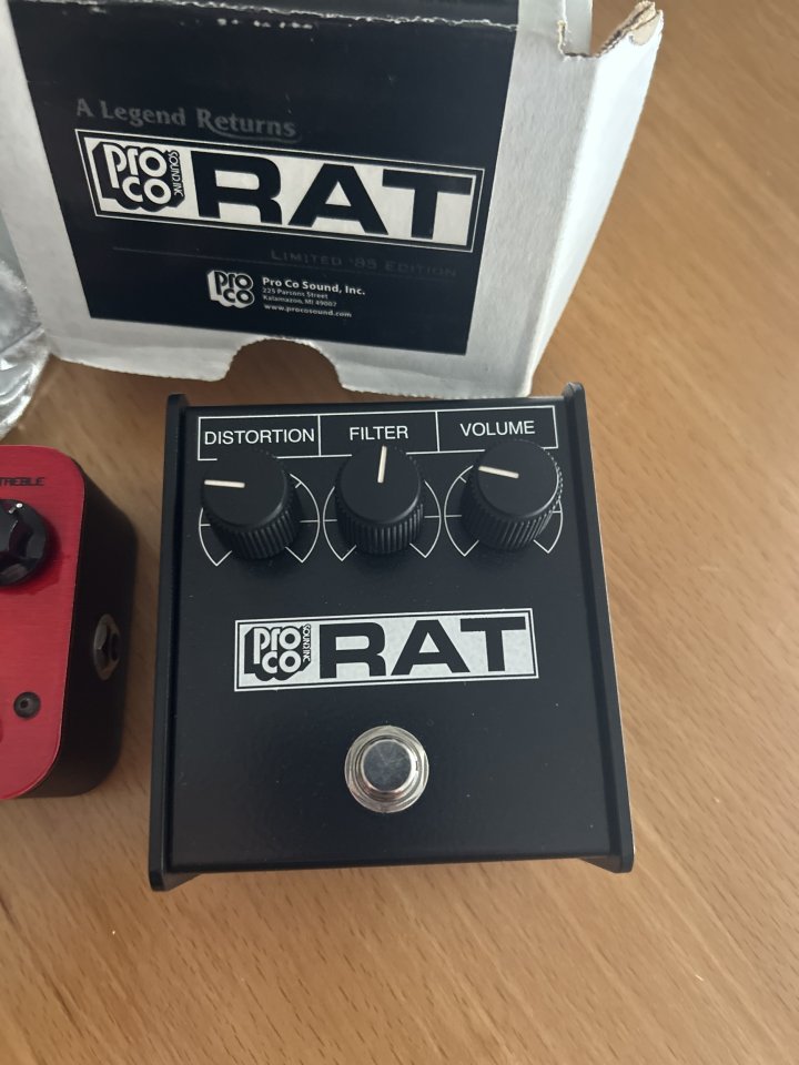 Cambio mi proco rat whiteface de segunda mano · Alicante