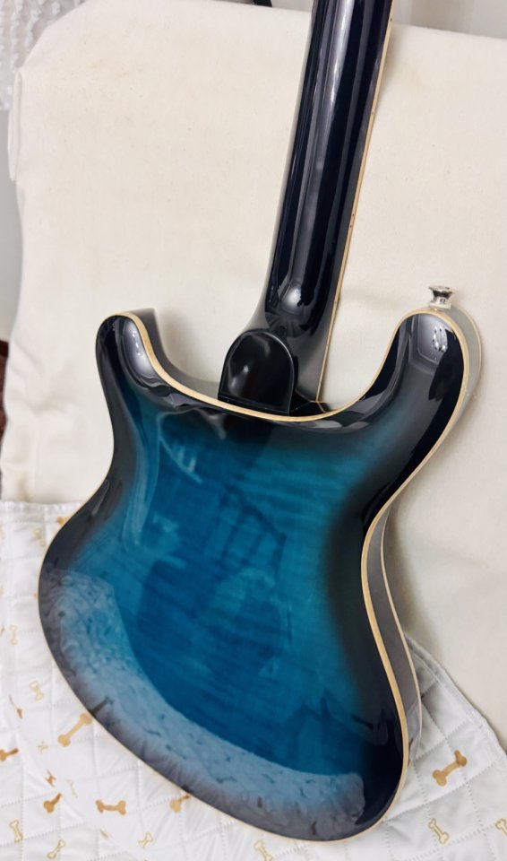 PRS SE Hollowbody II Piezo de segunda mano · Foto 10 de 10 · SC Tenerife · 1000 €