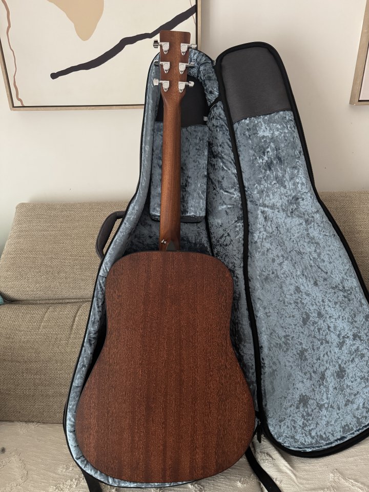 Martin Guitars D-10E Dreadnought
