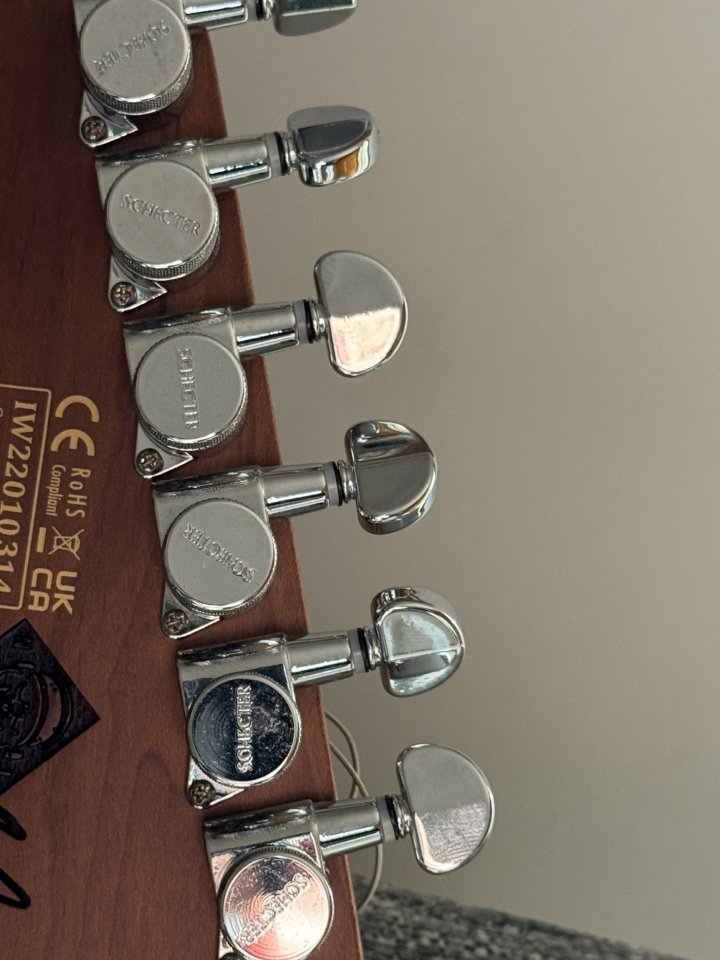 Vendo Telecaster  Nick Johnston