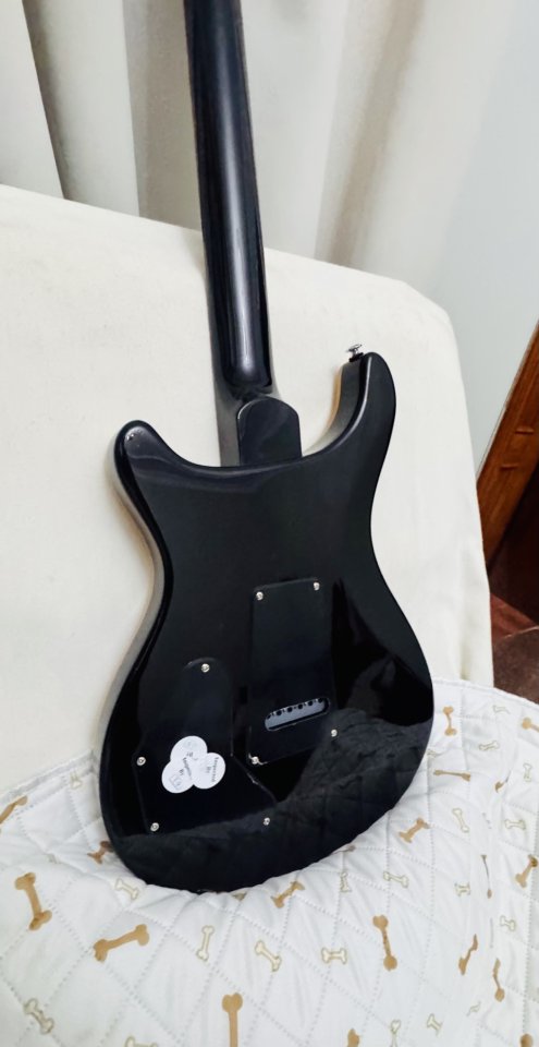 PRS SE DGT Gold Top de segunda mano · Foto 10 de 10 · SC Tenerife · 580 €