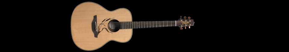 Takamine Limited Edition 2005 de segunda mano · Madrid · 1200 €