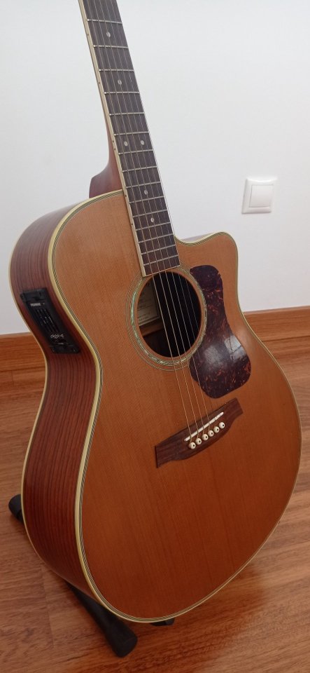 Guitarra electroacústica Walden de segunda mano · Foto 5 de 10 · Cuenca · 170 €
