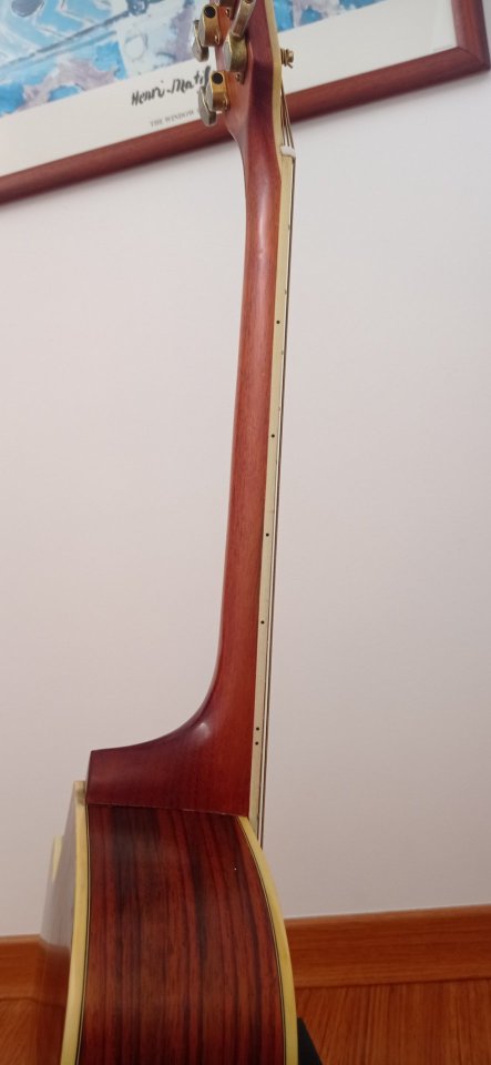 Guitarra electroacústica Walden de segunda mano · Foto 7 de 10 · Cuenca · 170 €