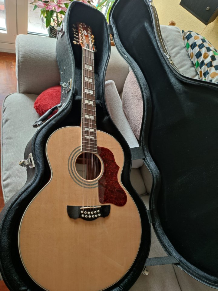 Guitarra acústica de 12 cuerdas