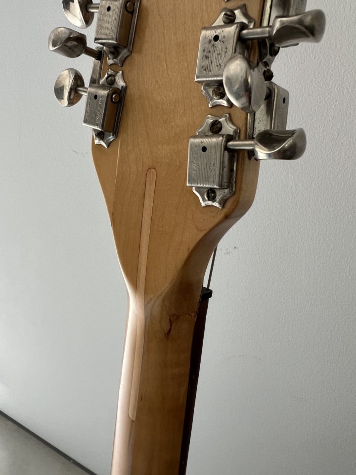 1965 Rickenbacker 450/12