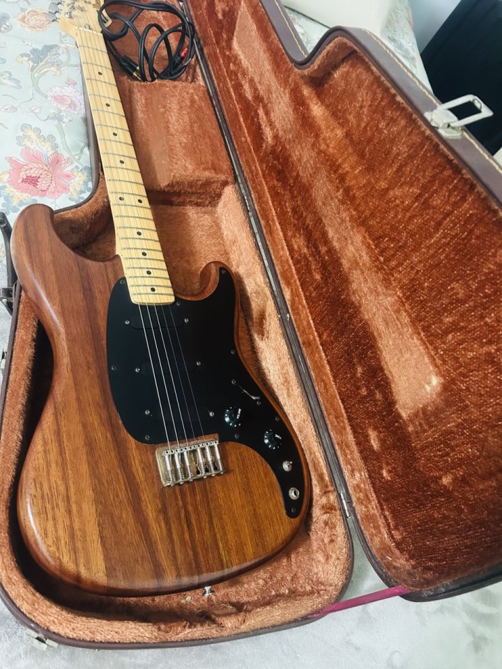 Ibanez Blazer BL-300 (1981) - Made in Japan (FujiGen) - Walnut