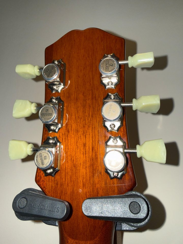 Epiphone ES 335 Inspired by Gibson