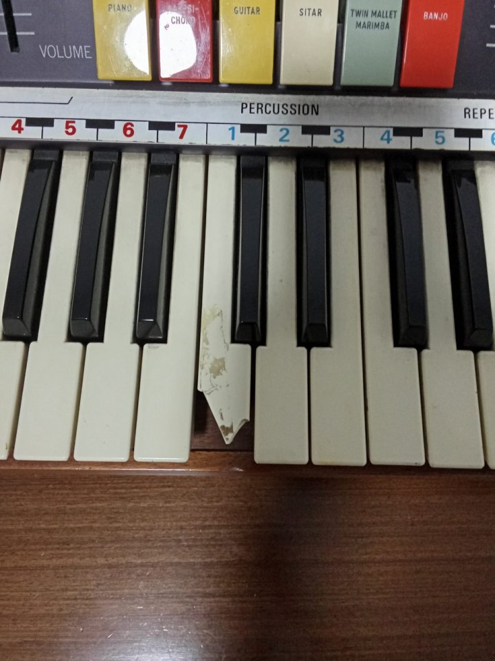 Hammond The Piper (años 70's) de segunda mano · Foto 5 de 5 · Madrid · 50 €